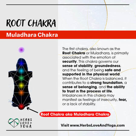 Picture of chakras 